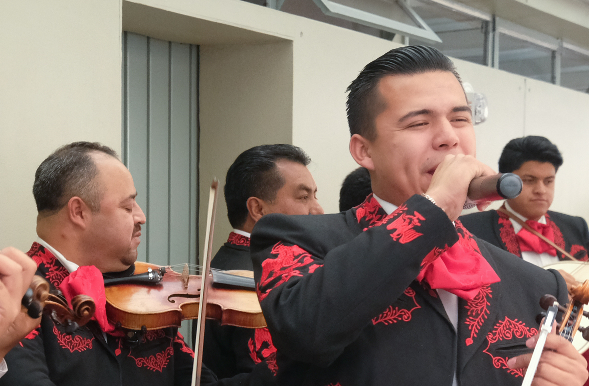 mariachis económicos caltongo xochimilco cdmx